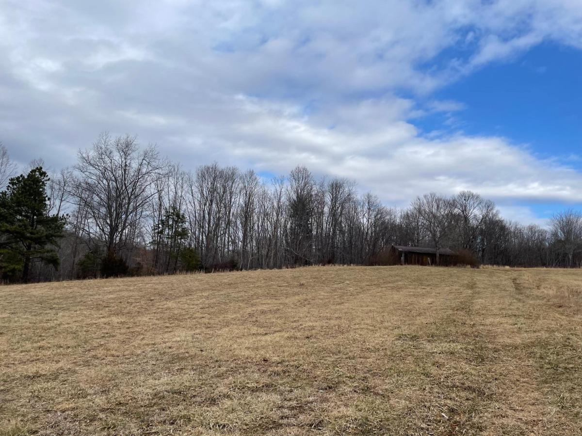 Giggling Creek Cottage - Bedjet! King Sized! Gazebo, 45 Acres, Arcades, Nintendo, More Henry Bagian luar foto