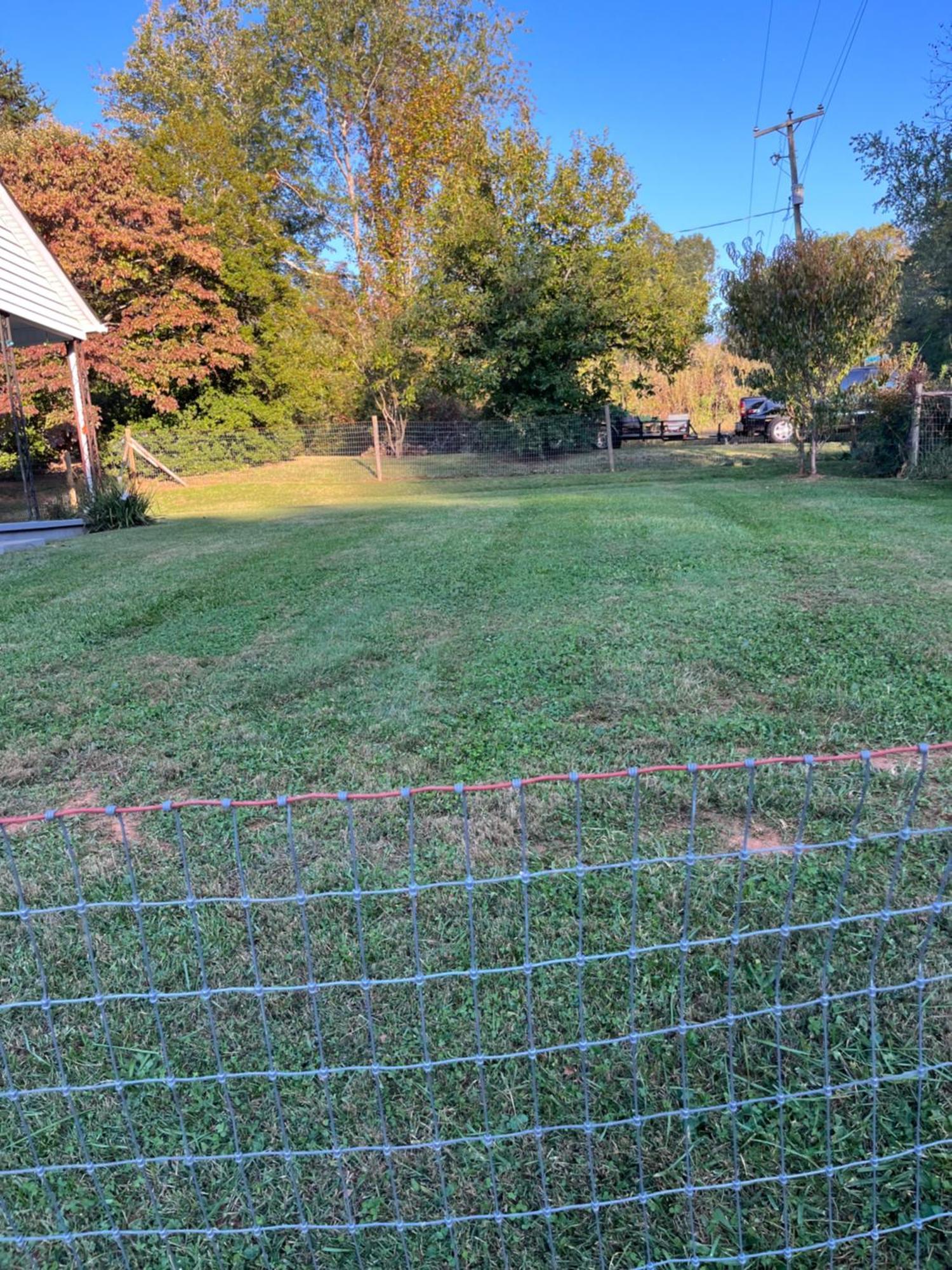Giggling Creek Cottage - Bedjet! King Sized! Gazebo, 45 Acres, Arcades, Nintendo, More Henry Bagian luar foto